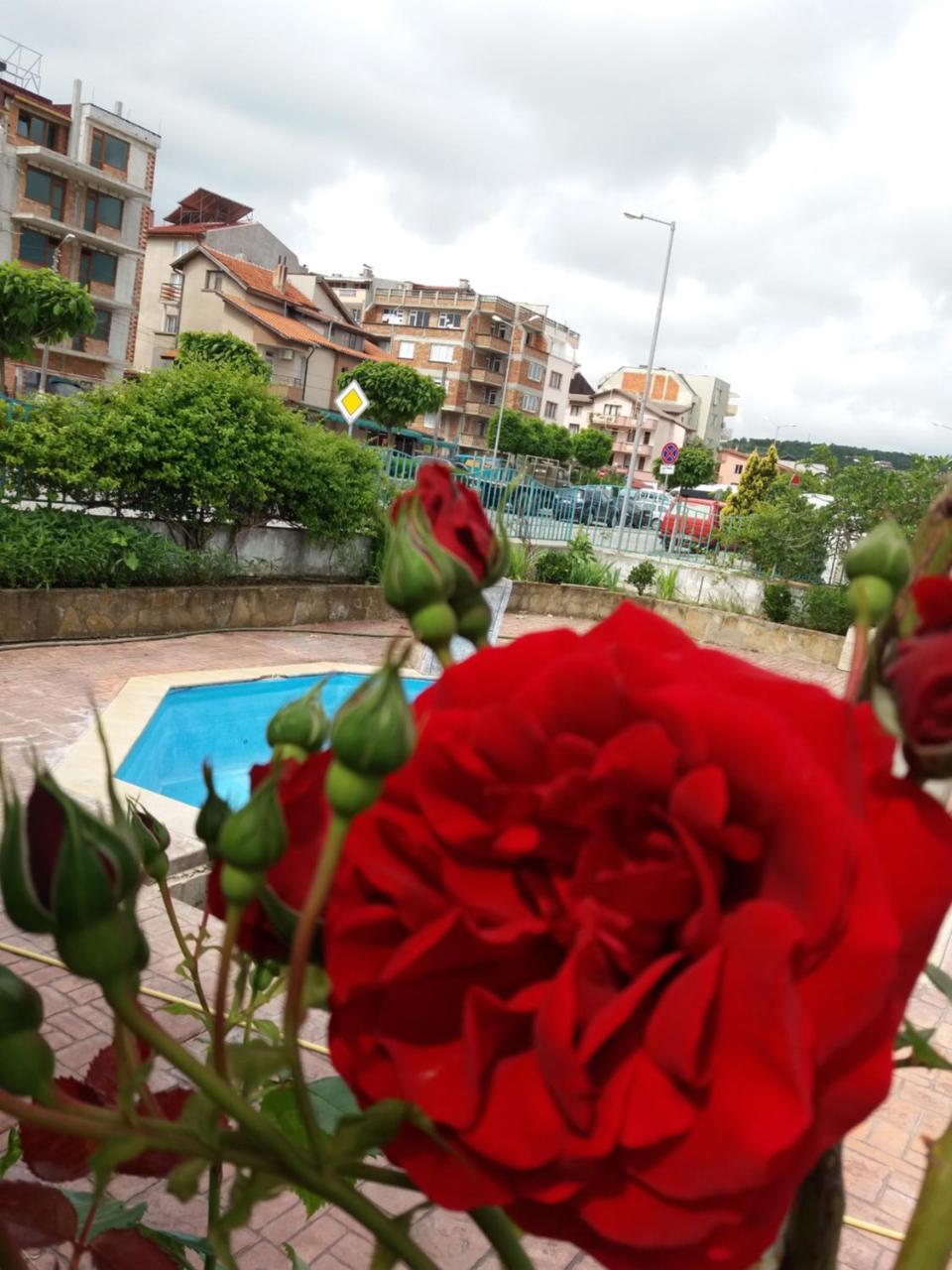 Alba Family Club Hotel Primorsko Exterior photo