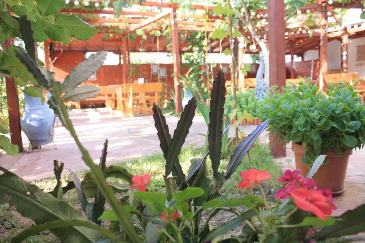 Alba Family Club Hotel Primorsko Exterior photo